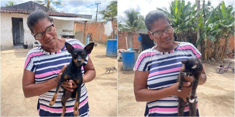 Cruzamento entre cachorro e gata? Caso em Humildes viraliza nas redes sociais