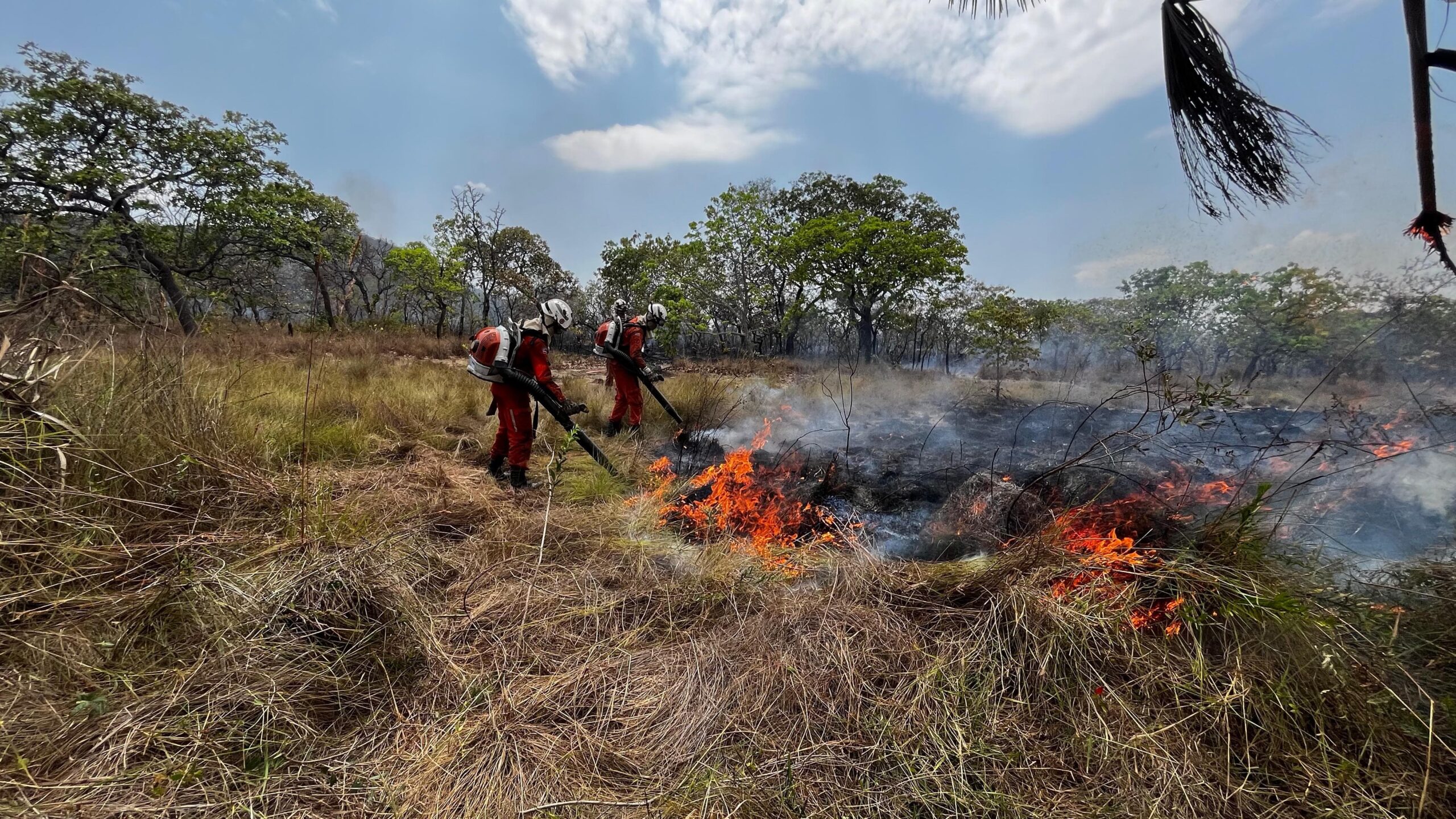 Operação Florestal do Corpo de Bombeiros debela cerca de 960 incêndios no estado