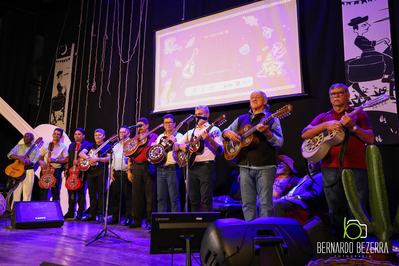 Festival de Violeiros lotou teatro do Cuca