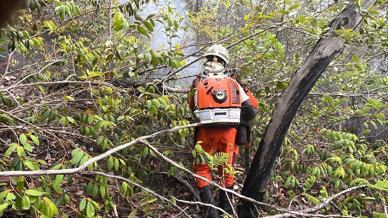 Bombeiros militares permanecem combatendo incêndio florestal na Chapada Diamantina