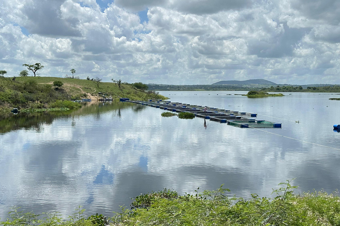 Investimento de R$ 1 milhão impulsiona piscicultura na zona rural de Feira de Santana