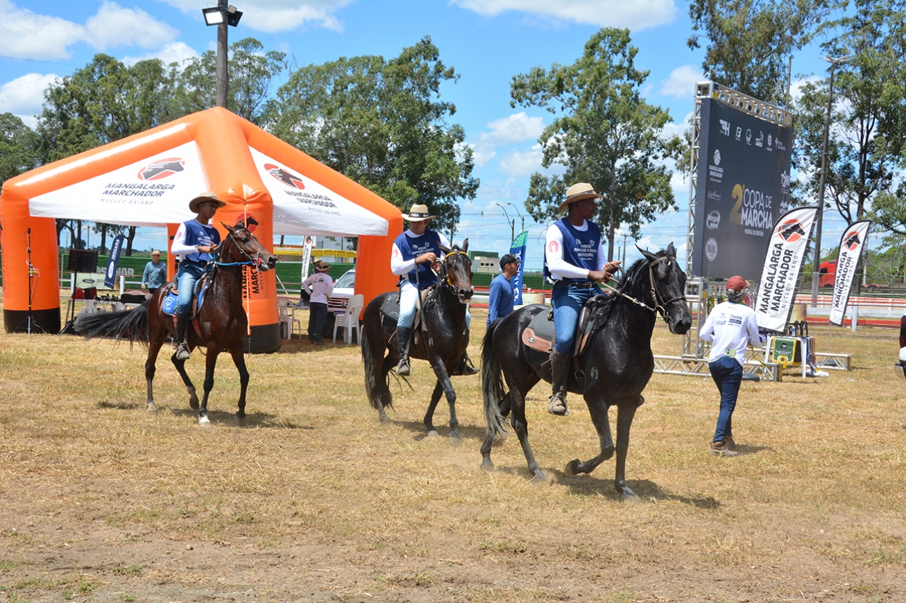 Feira de Santana sedia a 2ª Copa de Marcha de Mangalarga Marchador