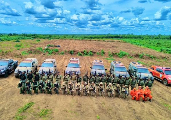 Em ação conjunta, polícias da Bahia e Piauí erradicam 120 mil pés de maconha na divisa