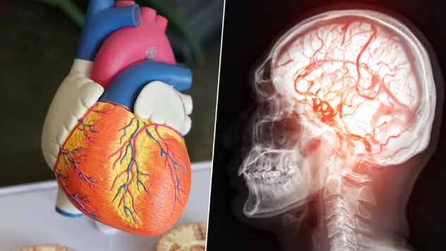 Cardiologista detalha quadro clínico que levou à morte de Papa Francisco