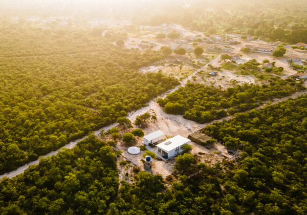 Bahia investe em políticas públicas de preservação em celebração ao Dia da Caatinga
