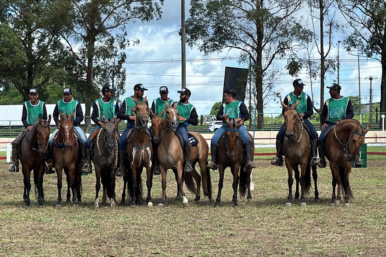Portal da Marcha do Cavalo Campolina reúne em Feira maiores criadores da raça