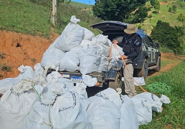 Operação Amordaçar apreende mais de meia tonelada de maconha na Bahia