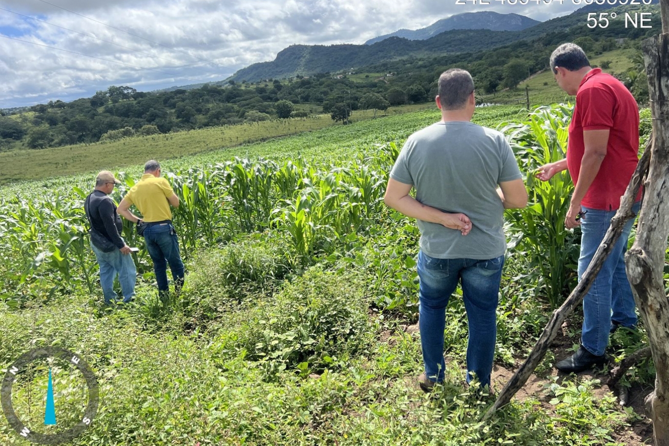 Fiscalização combate uso irregular de agrotóxicos com drones em propriedades rurais de Feira de Santana