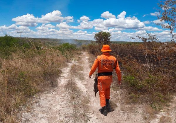 Combate à seca: governo decreta programa ‘Bahia Sem Fogo’ para frear incêndios