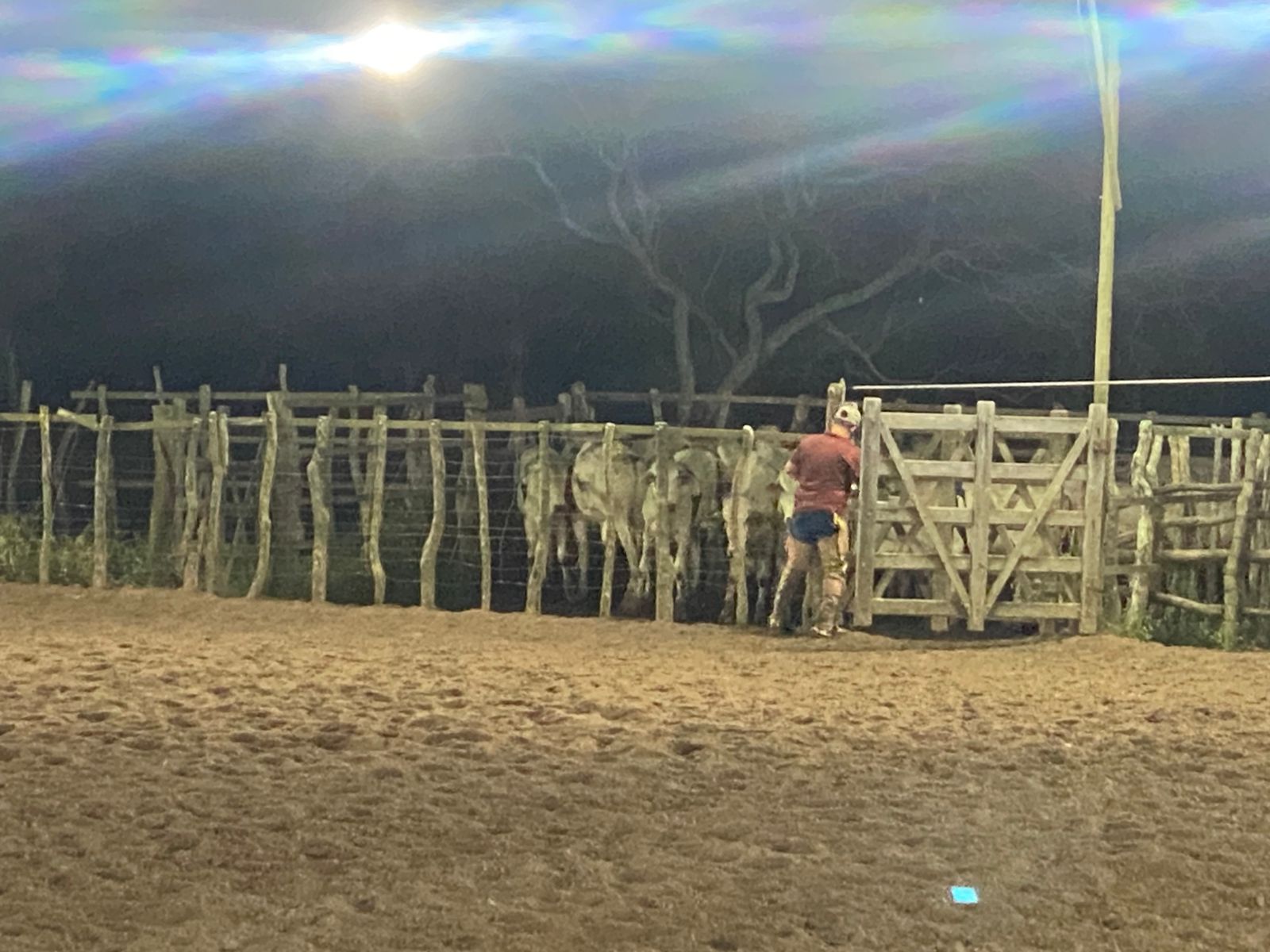 4ª Etapa do Campeonato Baiano de Team Penning movimenta Santo Estêvão com esporte, família e emoção