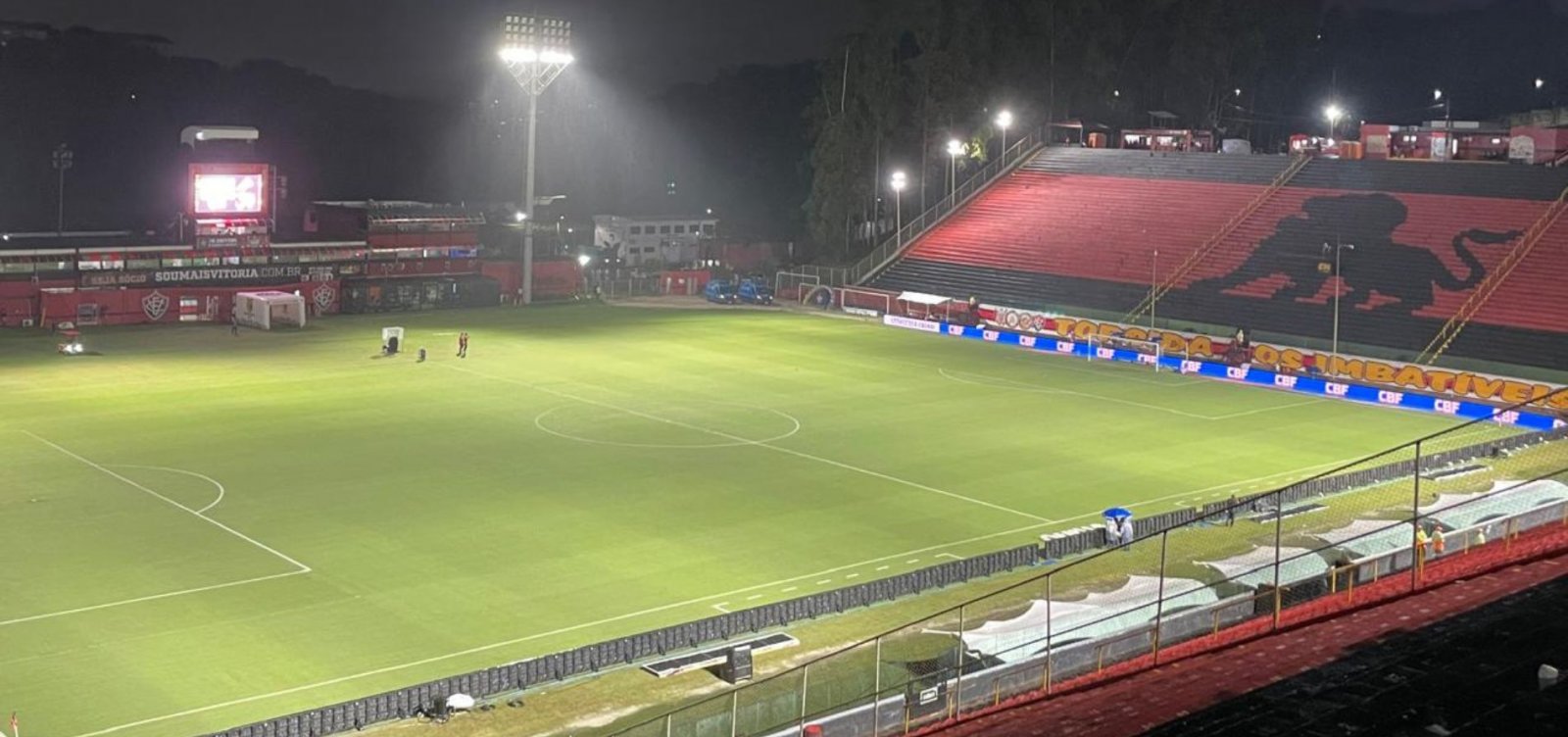 Vitória x Palmeiras: onde assistir, prováveis escalações e arbitragem