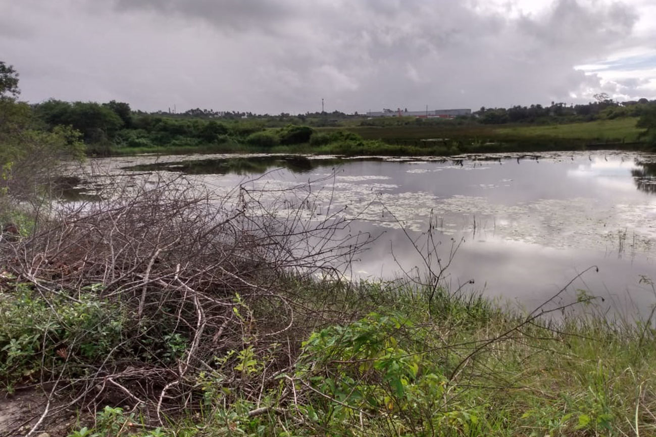Feira de Santana inicia revitalização de lagoas e mananciais com foco no distrito de Humildes