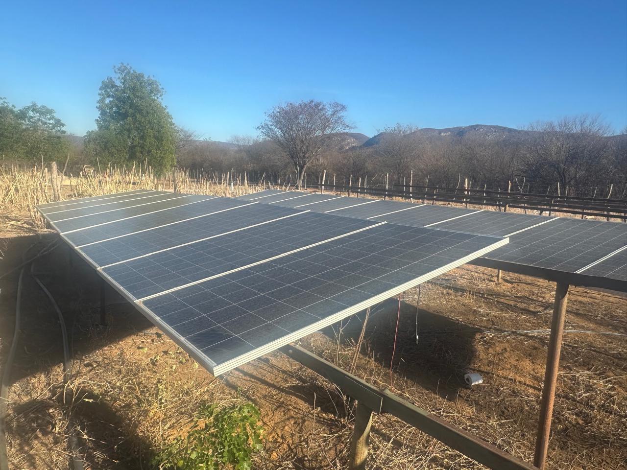 FICCO Bahia, PM e PF desmontam roça de maconha que contava com sistema de energia solar