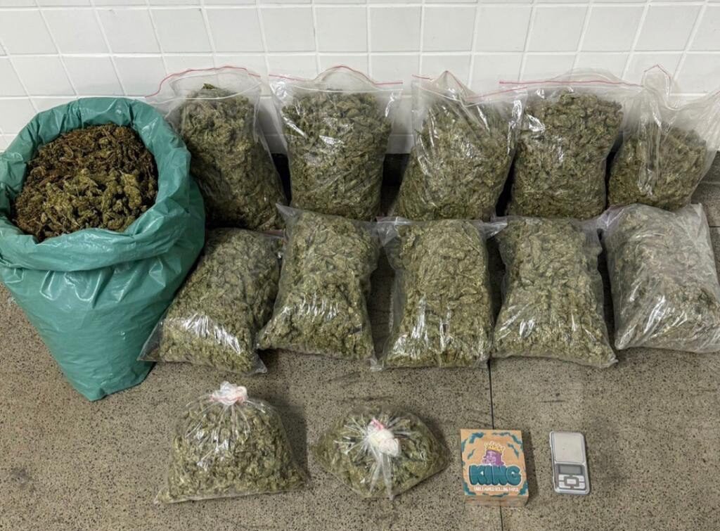 Polícia apreende mais de 30kg de maconha no bairro Viveiros