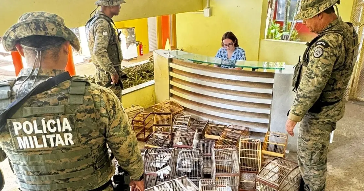 Polícia ambiental apreende mais de 27 aves silvestres no Recôncavo baiano