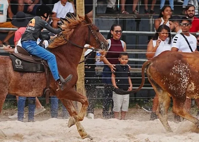 Campeonato Baiano de Team Penning movimenta a 46ª Expofeira de Feira de Santana