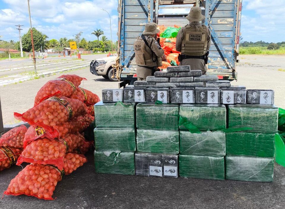 PM apreende mais de 500kg de cocaína na BA-502