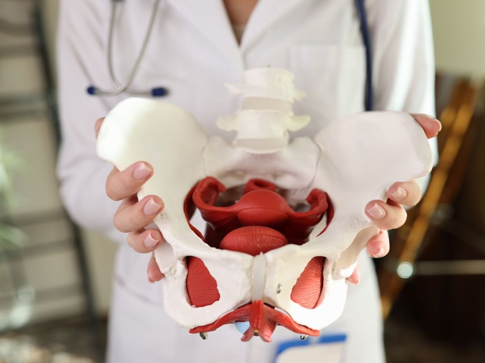 Fisioterapia pélvica é essencial na saúde do homem, alertam especialistas