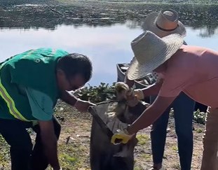 Mutirão revela grave poluição no Rio Jacuípe e mobiliza moradores de Feira de Santana