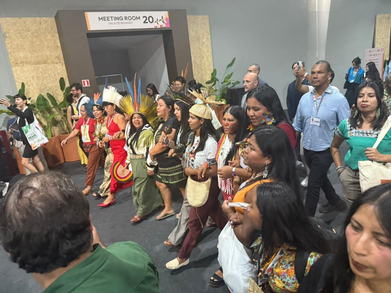 Ministra anuncia avanço na demarcação de terras indígenas e detalha ações de proteção durante a COP 30