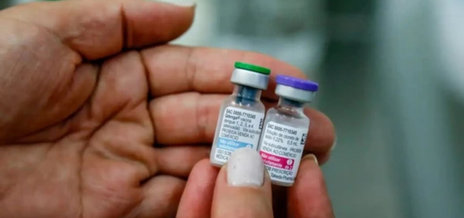Vacina de dose única contra dengue será ofertada pelo SUS a partir de 2026