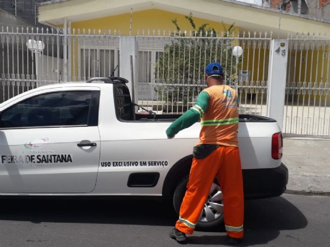 Departamento de Limpeza Urbana recolheu mais de 7 mil cadáveres de animais das ruas e residências