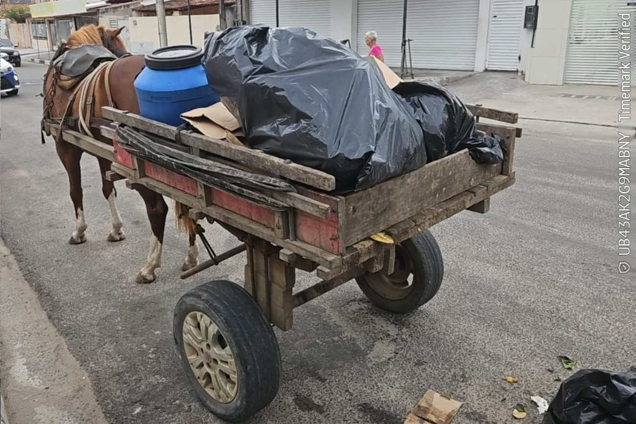 SESP multa empresa por descarte irregular