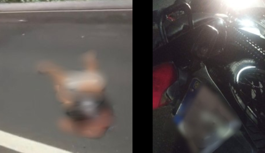 Motociclista morre após colisão na BR-116, em Santo Estêvão