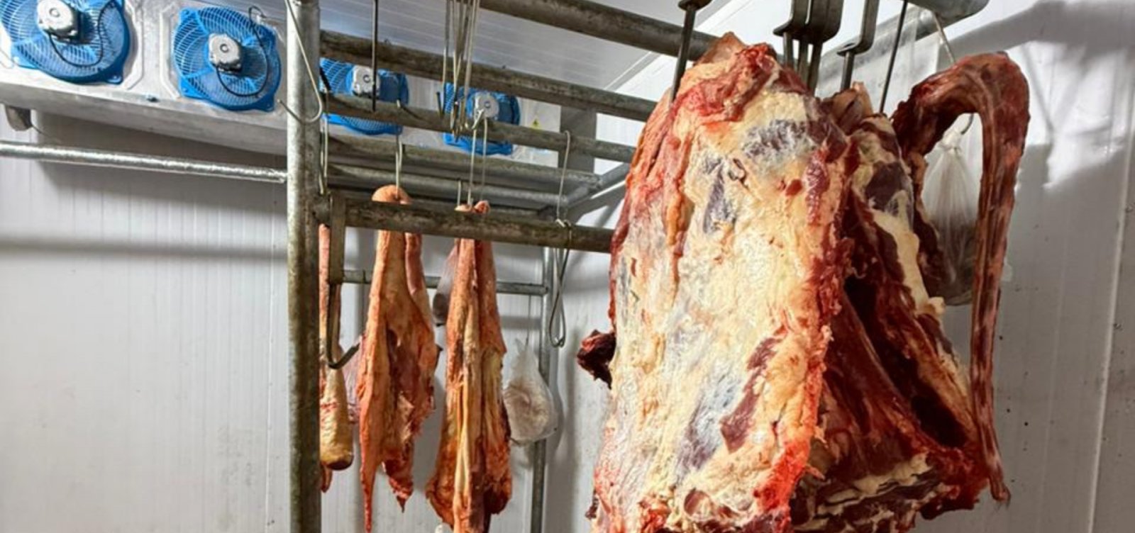 Mais de uma tonelada de carne irregular é apreendida em municípios da Bahia