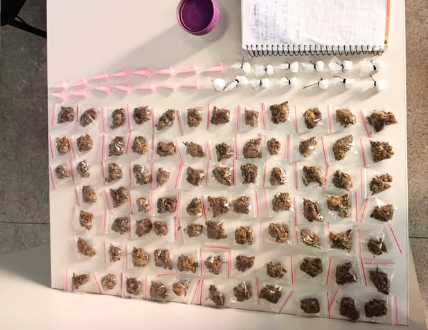 PM apreende drogas no bairro Jardim Cruzeiro, em Feira de Santana