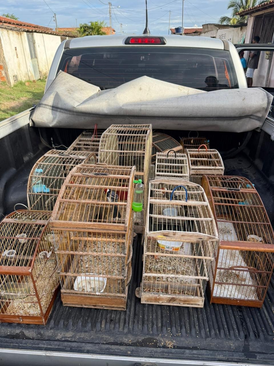 Polícia Civil apreende aves em situação de maus-tratos durante ação em Santa Bárbara